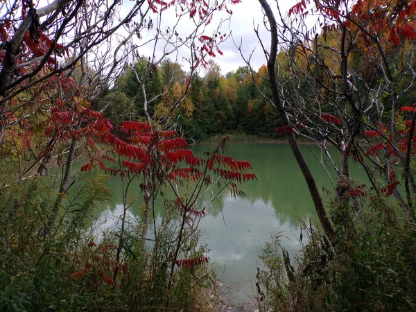 Podzimní Krajina Pestrobarevnými Stromy Rybníkem — Stock fotografie