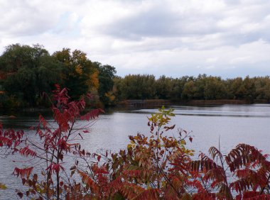 Göletli ve renkli ağaçlı manzara