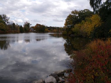 Göl manzarası ve renkli ağaçlar