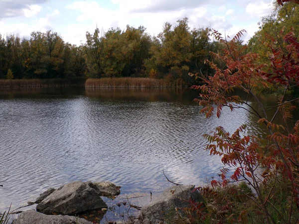 池とカラフルな木々の風景 — ストック写真