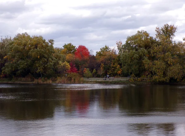Landschaft Mit Teich Und Bunten Bäumen — Stockfoto