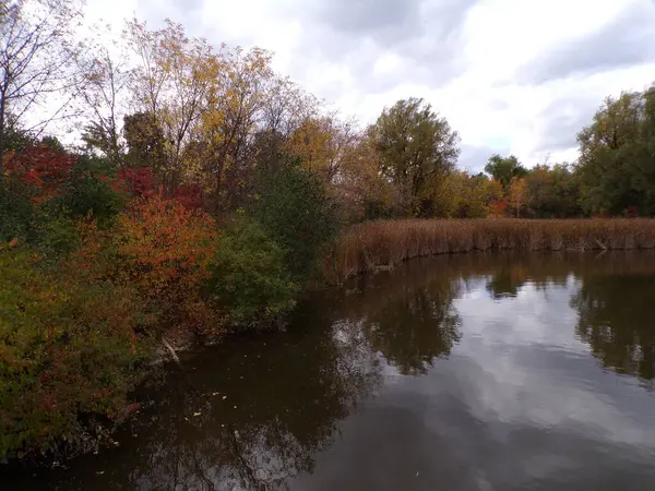 Landschaft Mit Teich Und Bunten Bäumen — Stockfoto