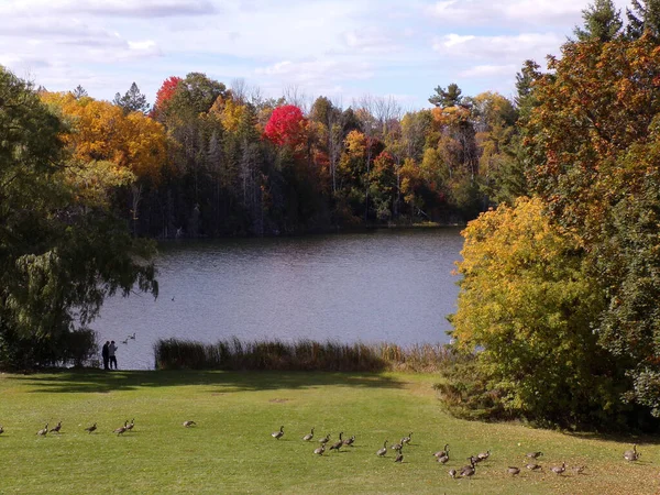 秋天的风景 五彩斑斓的树木和河流 — 图库照片