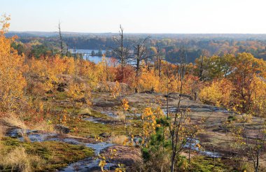 Göl ve renkli ağaçlarla sonbahar manzarası