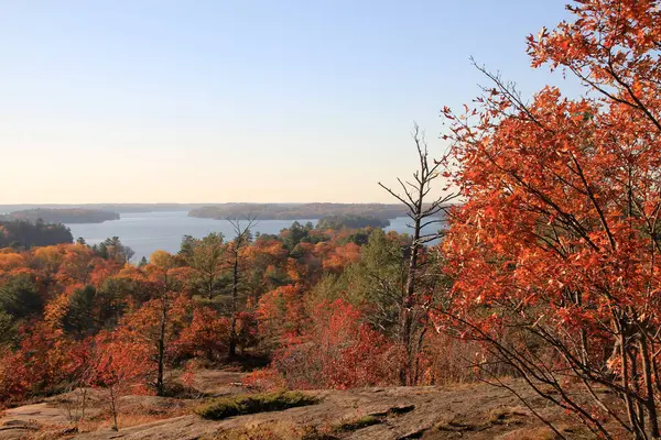 秋天的风景 有湖泊和五彩缤纷的树木 — 图库照片