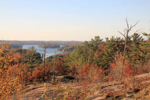 Jesienny Krajobraz Jeziorem Kolorowymi Drzewami — Zdjęcie stockowe