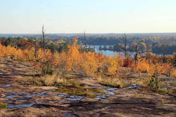 Göl ve renkli ağaçlarla sonbahar manzarası