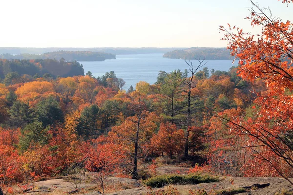 秋天的风景 有湖泊和五彩缤纷的树木 — 图库照片