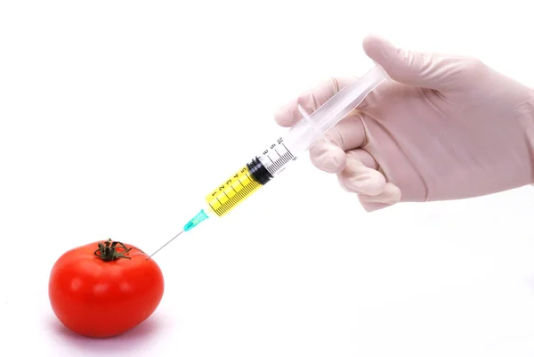 Genetically modified tomato — Stock Photo, Image