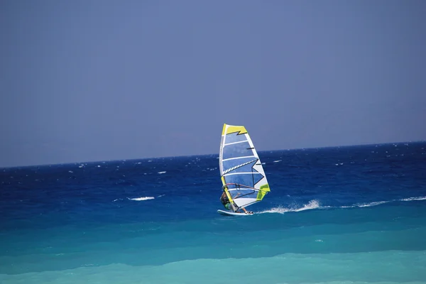 Windsurfer op zee — Stockfoto