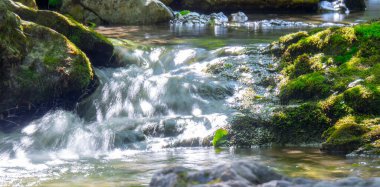 Güneşin altında bir dağ deresi. Minyatür bir şelale. Yosun kaplı taşlar. Dağ bitkilerinin yeşil