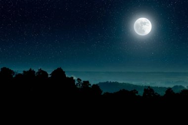 the full moon with its light. the silhouette of the forest 
