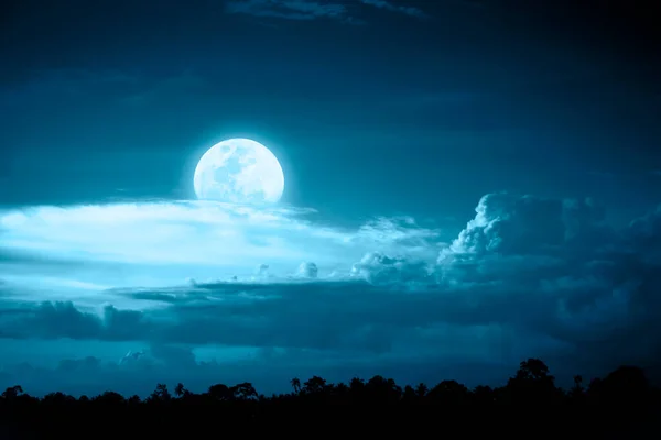 Night Landscape Big Full Moon Silhouette Trees — Stock fotografie