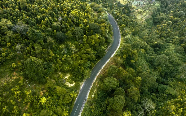 Aerial Shot Road Tropical Mountain Forest Abstract Forest Background Winding — Stockfoto