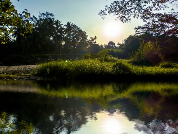 Lake Grass Trees Sunlight Grass Trees — Foto de Stock