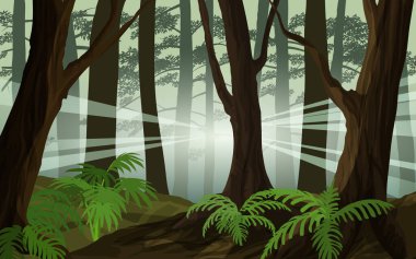 Forest landscape with sunlight going through the trees