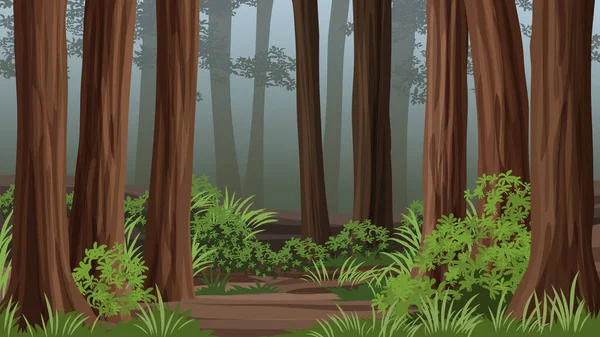 Vector Foggy Forest Illustration Background — Stockový vektor