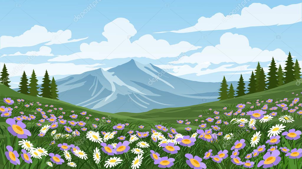 Sunny day mountain landscape with flowers in meadow