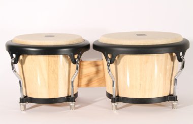 Bongolar