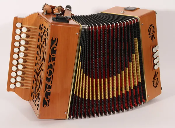 Accordéon — Photo