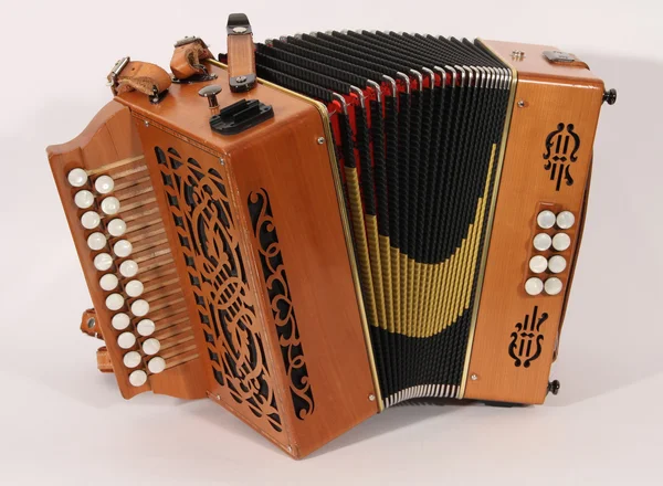 Accordéon — Photo