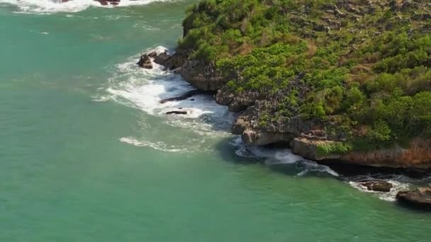 Αεροφωτογραφία Της Ομορφιάς Της Παραλίας Drini Gunungkidul Γιογκιακάρτα Κεντρική Ιάβα — Αρχείο Βίντεο