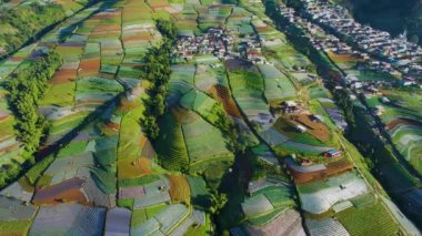 Aerial view of the Nepal van java is a Rural tour on the slopes of mount sumbing, The beauty of building houses in the countryside of the mountainside. Magelang, Indonesia, January 9, 2022
