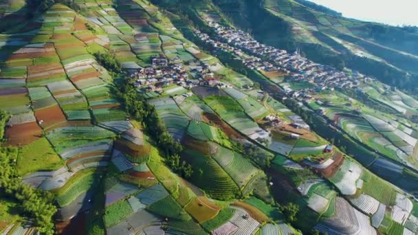 Pemandangan Udara Dari Java Van Nepal Adalah Tur Pedesaan Lereng — Stok Video