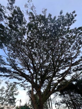 Situ Bagendit, Garut 'ta dağ manzaralı ünlü bir turistik yerdir. Garut, Endonezya, 19 Mayıs 2022