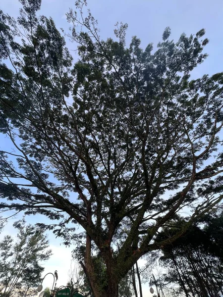 Situ Bagendit, Garut 'ta dağ manzaralı ünlü bir turistik yerdir. Garut, Endonezya, 19 Mayıs 2022