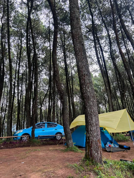 Datar Pinus公園のテントサイトの周りの雰囲気 多くの旅行者がDatar Pinus Pangalengan Parkでキャンプをしています 2022年6月15日インドネシア バンドン — ストック写真