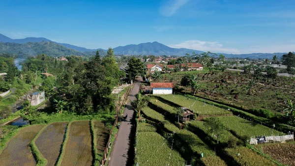 努桑塔拉 Taman Bunga Nusantara 或花花园 Flower Garden Nusantara 的空中景观 2022年7月6日 — 图库照片