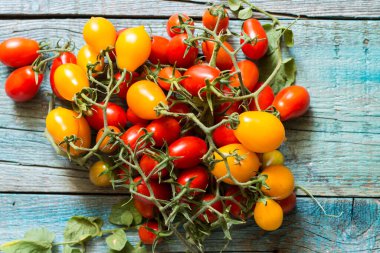 Vezüv 'ün sarı ve kırmızı Piennolo' su ya da mavi ahşap arka planda Vesuvian Domatosu. Piennolo, Napoli, İtalya 'da yetişen bir domates kümesidir..