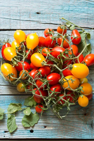 Vezüv 'ün sarı ve kırmızı Piennolo' su ya da mavi ahşap arka planda Vesuvian Domatosu. Piennolo, Napoli, İtalya 'da yetişen bir domates kümesidir..