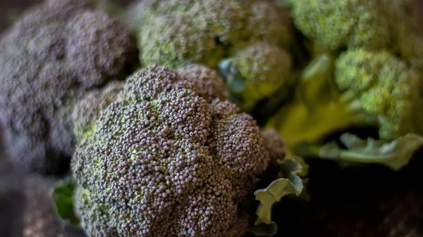 Freshly Harvested Organic Barese Broccoli Black Wooden Background — Stock Photo, Image