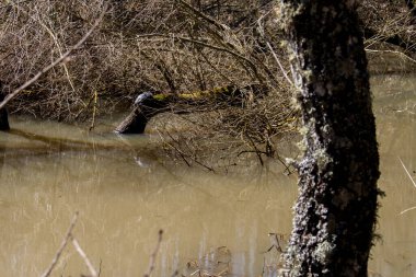 Dekorata Gölü, Colle Sannita, Benevento, Campania