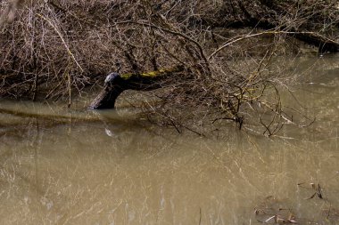 Dekorata Gölü, Colle Sannita, Benevento, Campania