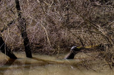 Dekorata Gölü, Colle Sannita, Benevento, Campania