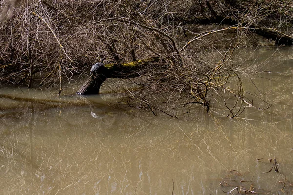 Dekorata Gölü, Colle Sannita, Benevento, Campania