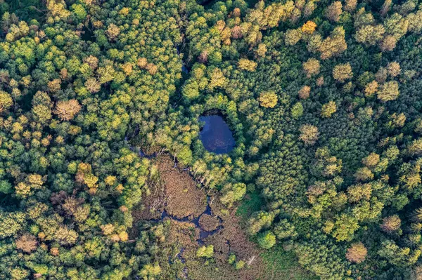 Aerial View Blue Swamps Lakes Hidden Green Lithuanian Forest — Stock Photo, Image