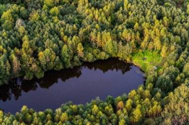 Yeşil Litvanya ormanlarında gizlenmiş mavi göl manzaralı.