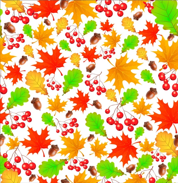 Pattern Autumn Leaves Acorns White Background — Stock Photo, Image