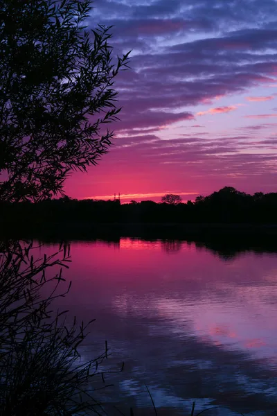 Silhouette Eines Baumes Mit Laub Vordergrund Sonne Horizont Sonnenaufgang Oder — Stockfoto