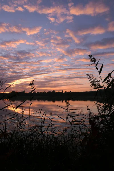 Dramatischer Himmel Mit Silhouette Von Pampasgras Vordergrund Symmetrie Bunter Wolken — Stockfoto