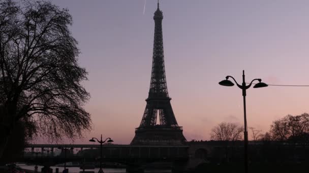 Paris Fransa Aralık 2021 Yılı Bir Hakeim Köprüsünün Ağacın Lambanın — Stok video