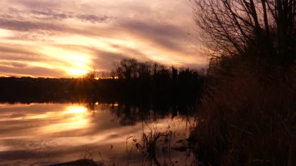 水の前に植生のシルエット 雲の対称性を持つ美しい風景 田園風景の中の日没時の湖の景色 — ストック動画