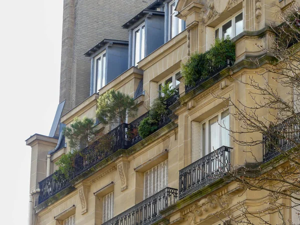 Paris France January 2022 Haussmannian Building Plants Trees Balconies Building — стоковое фото