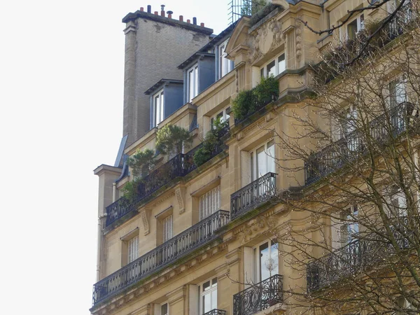 Paris Frankrike Januari 2022 Haussmanniska Byggnaden Med Växter Och Träd — Stockfoto