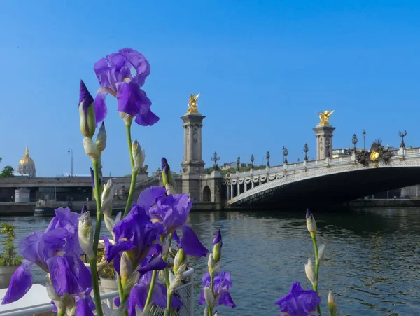 Paris France April 2022 Closeup Iris Spring Flowers Historical Bridge — ストック写真