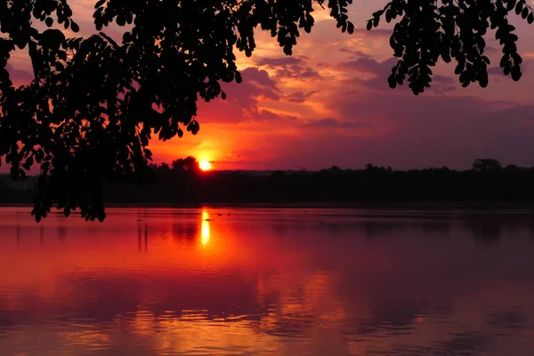 Beautiful Clouds Reflecting Lake Silhouette Vegetation Foreground Rural Quiet Landscape — Stockfoto